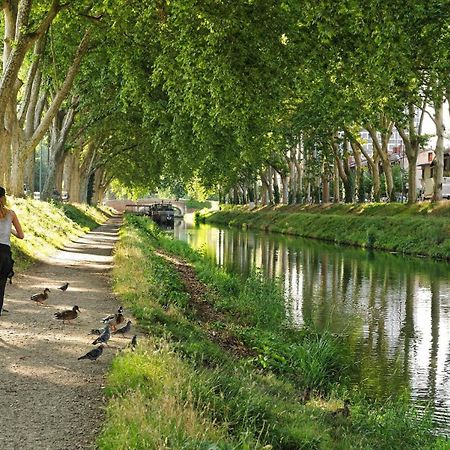 Saint-Sernin - Centre-Ville - Calme - Wifi Fibre 툴루즈 외부 사진