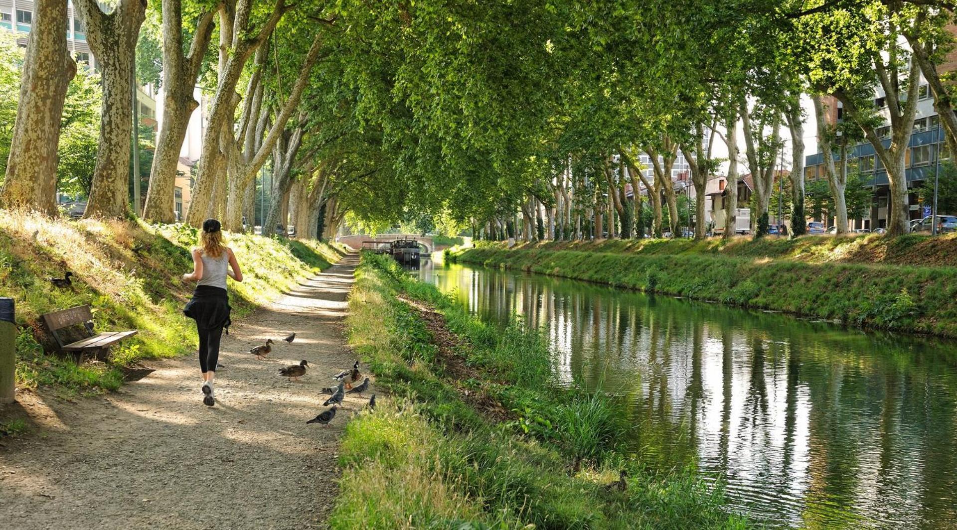 Saint-Sernin - Centre-Ville - Calme - Wifi Fibre 툴루즈 외부 사진